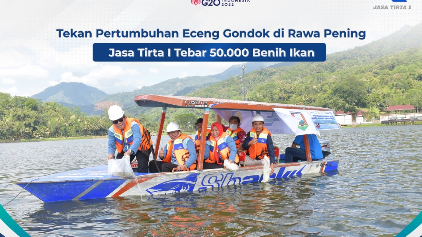 Tekan Pertumbuhan Eceng Gondok di Rawa Pening, PJT I Tebar 50.000 Benih Ikan